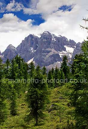 Click to See Next Image