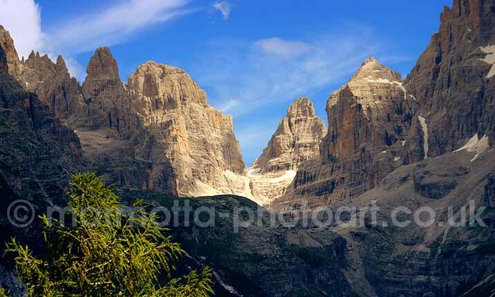 Click to See Next Image