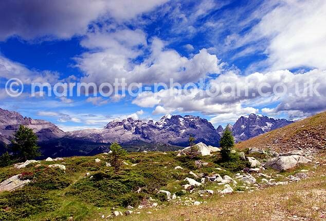 Click to See Next Image