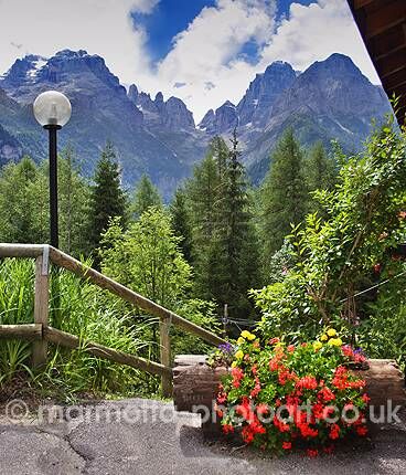 Click to See Next Image