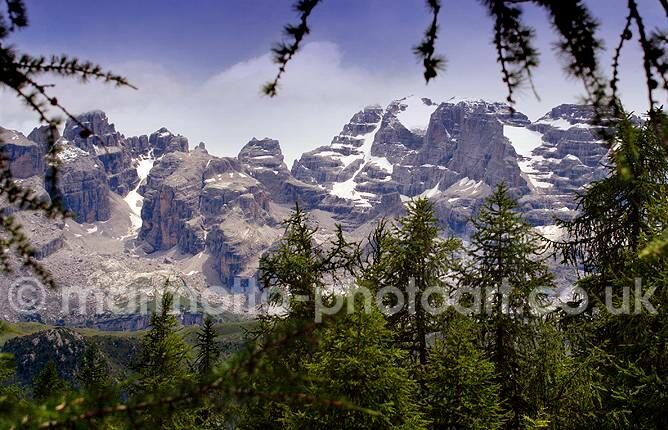 Click to See Next Image