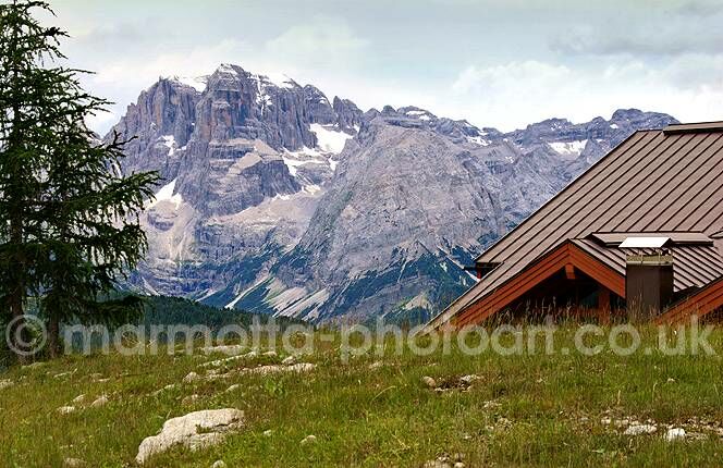 Click to See Next Image