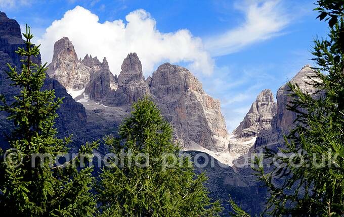 Click to See Next Image