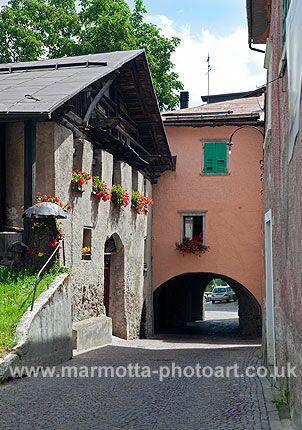 Click to See Next Image