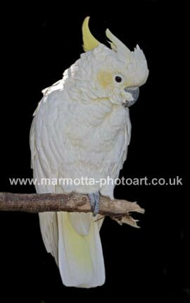 Click to See Next Image