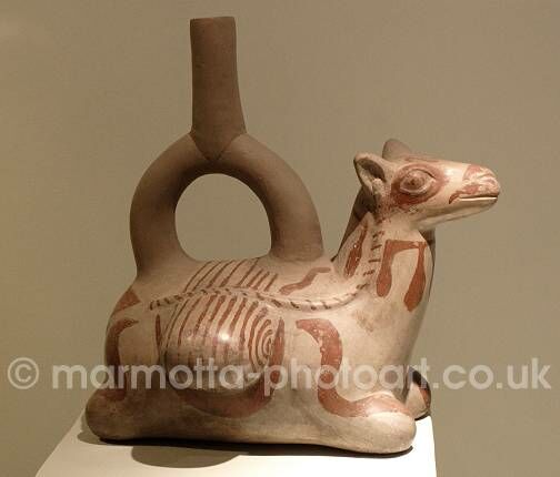 Click to See Next Image