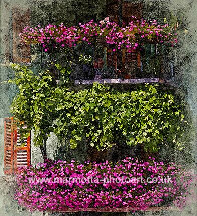 Click to See Next Image