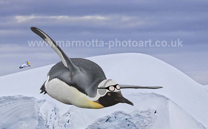 Click to See Next Image