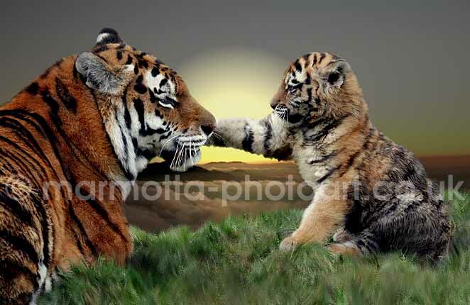 Click to See Next Image