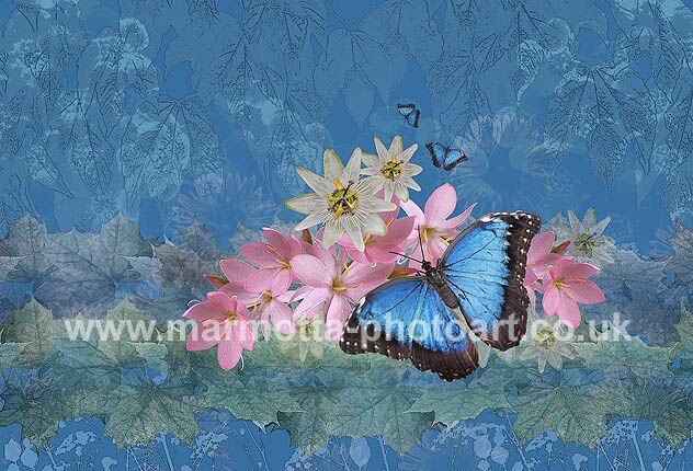 Click to See Next Image