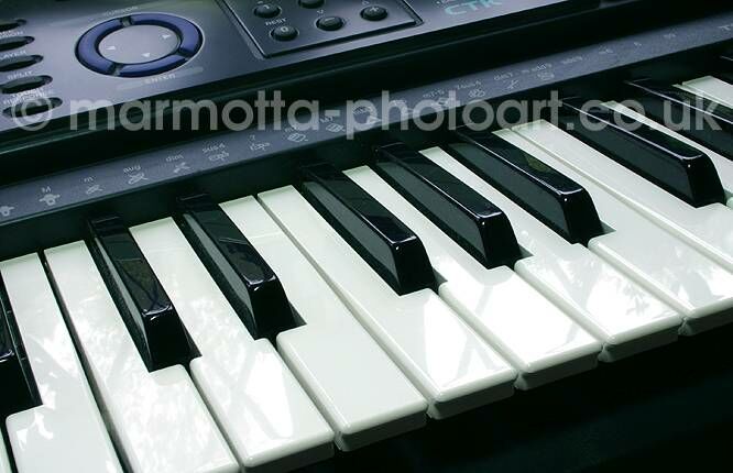 Click to See Next Image