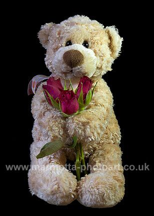 Click to See Next Image