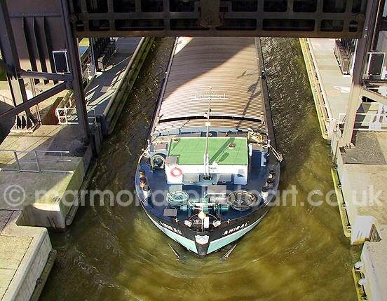 Click to See Next Image