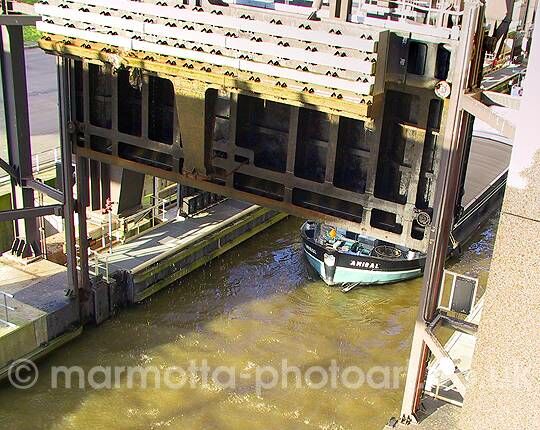 Click to See Next Image