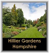 Hillier Gardens, Hampshire