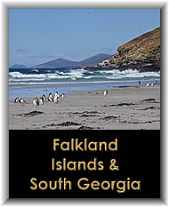 Falklands & South Georgia